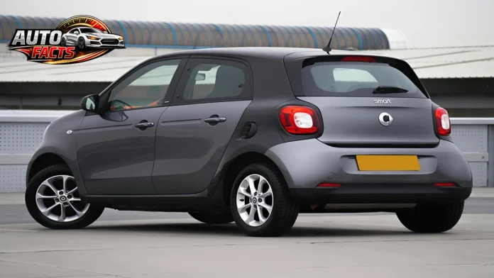 pexels-mikebirdy-17450510 (1)