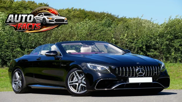 pexels-mikebirdy-27414170 (1)