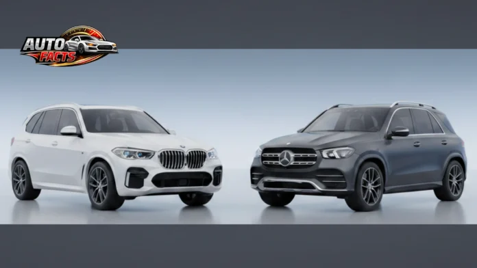 تصميم بدون عنوان (1)